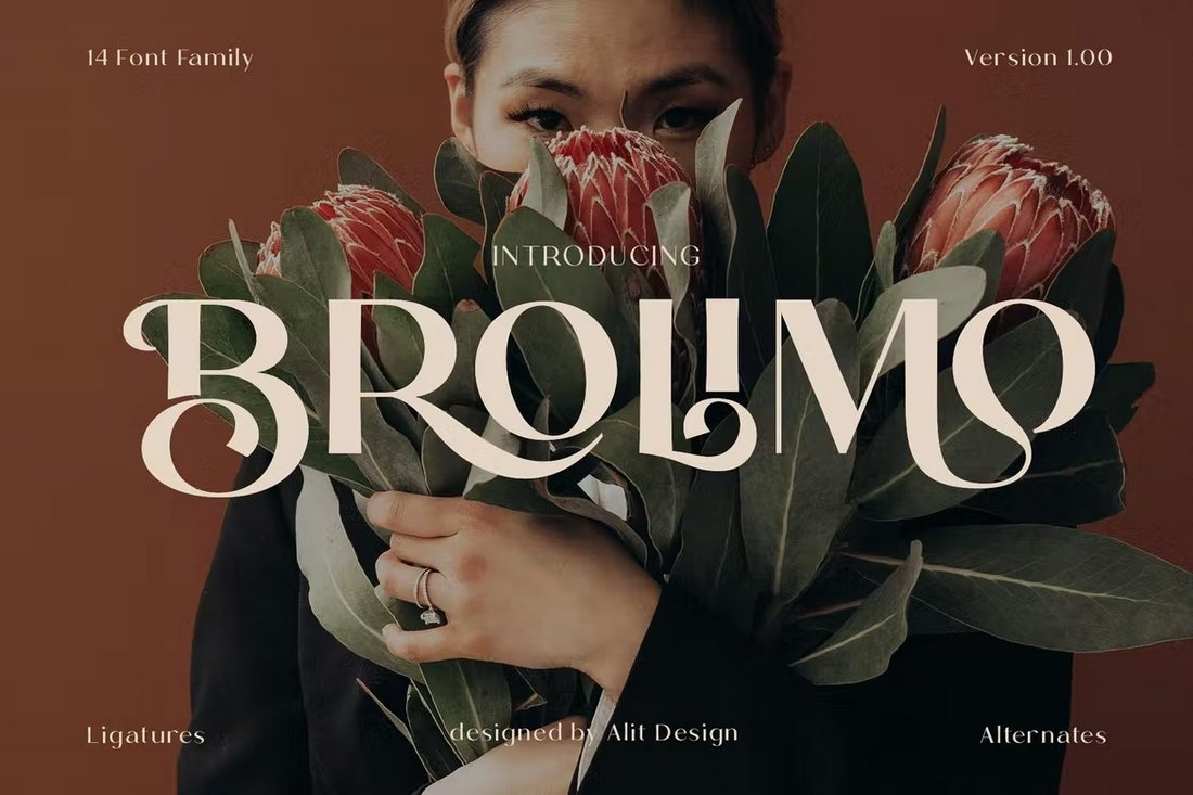 Bromilo - Modern Luxury Font