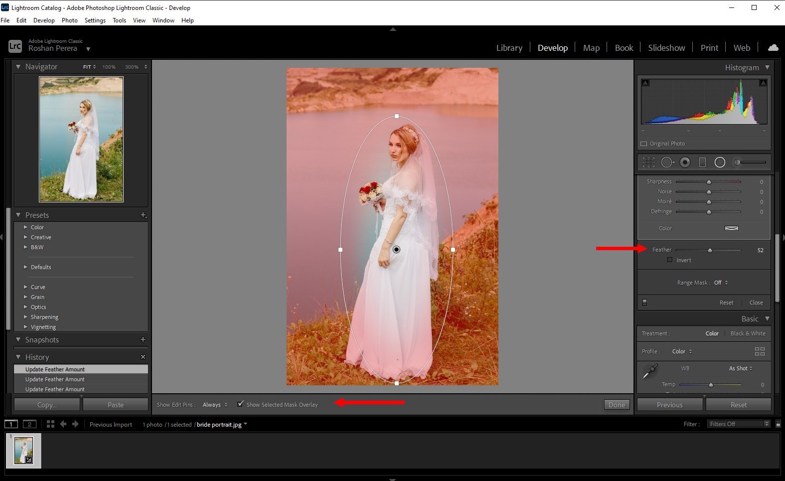 how to blur background lightroom classic - 2