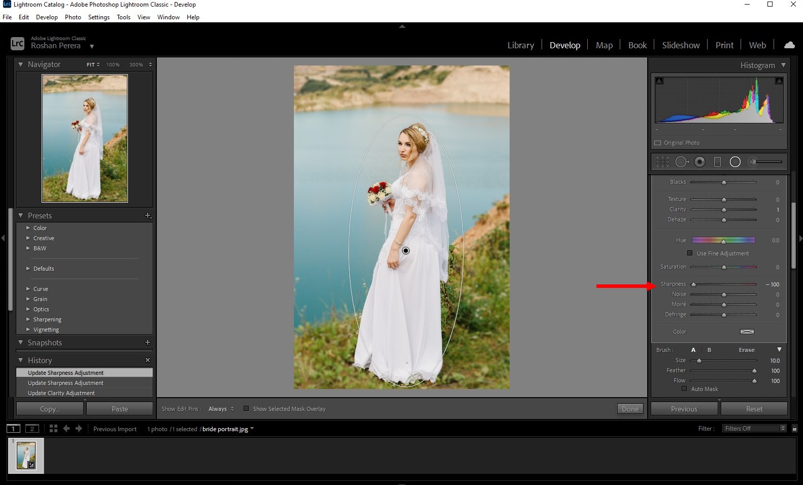 how to blur background lightroom classic - 4