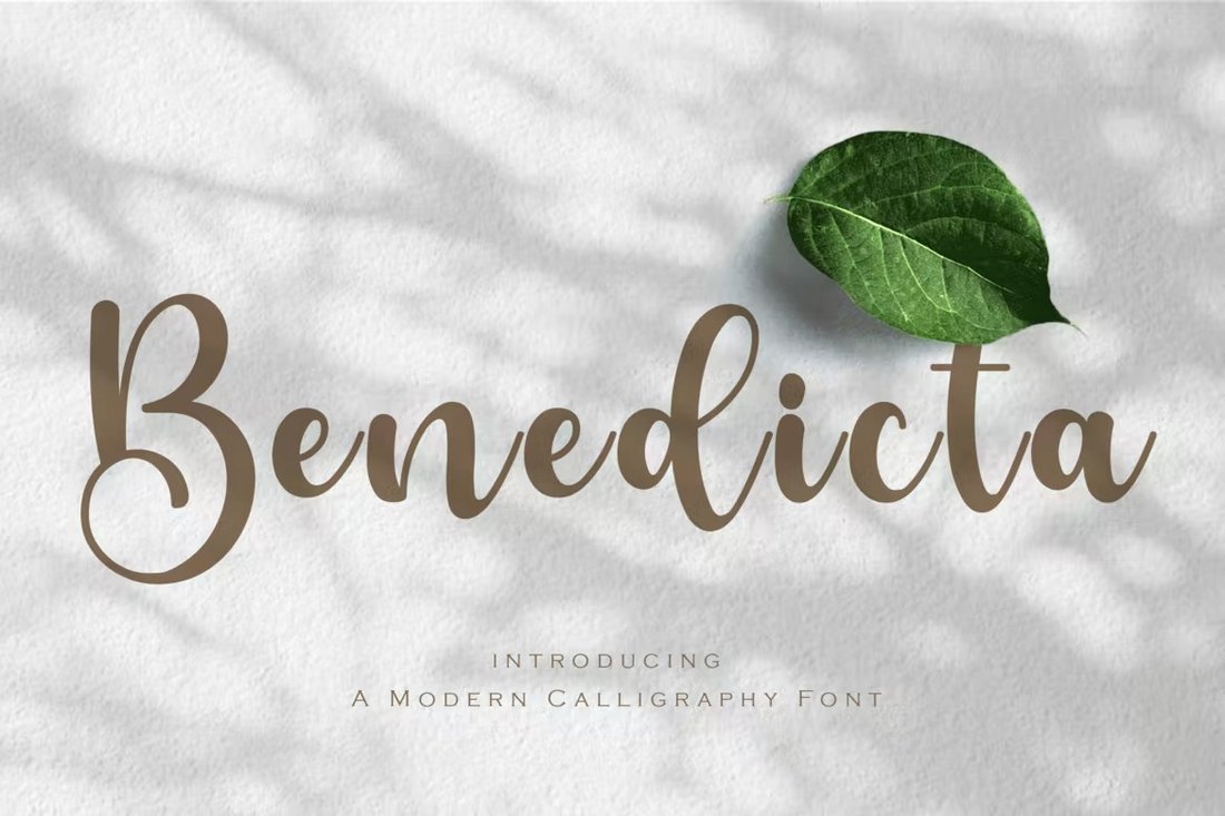 Benedicta - Curvy Calligraphy Font