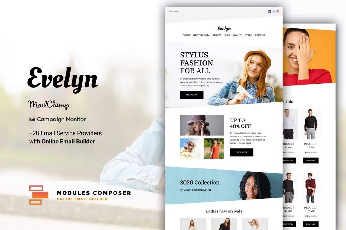 Evelyn - Ecommerce Business Newsletter Template