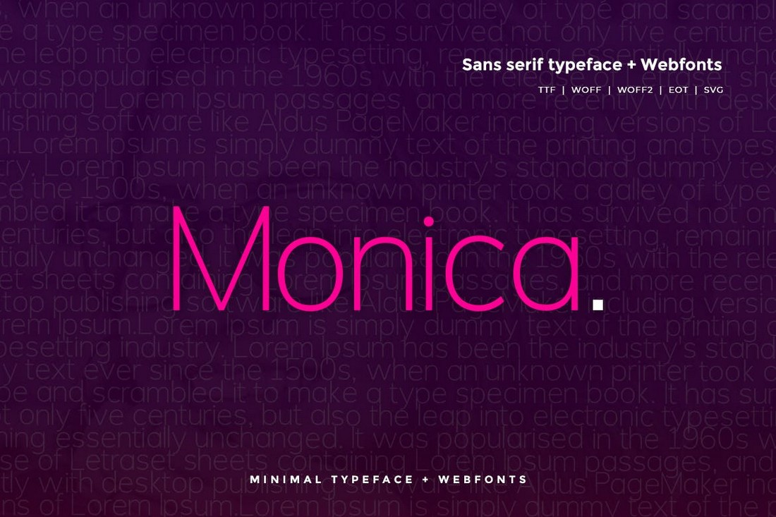 Monica - Modern Clean Font