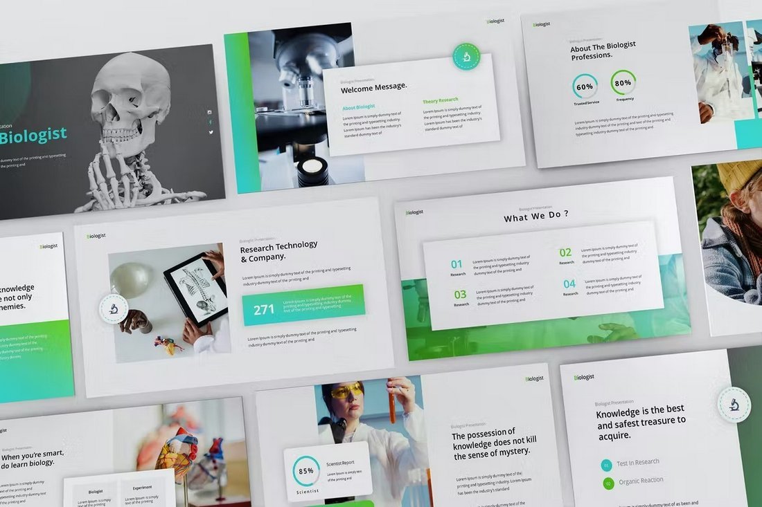 The Biologist - Research Presentation Powerpoint Template