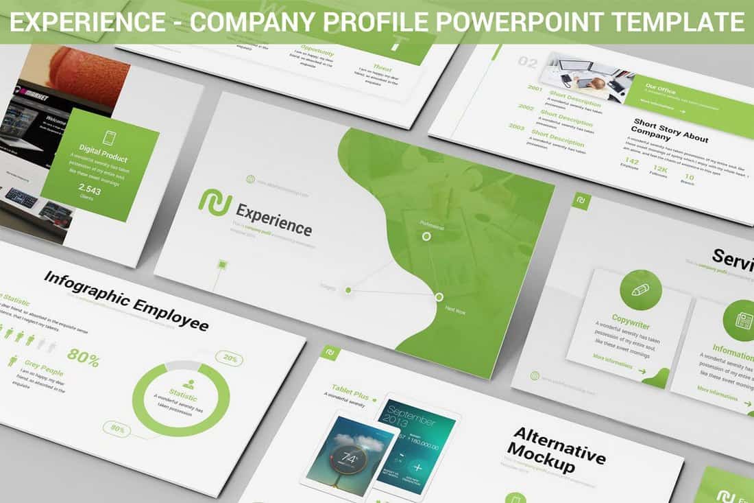 Experience - Powerpoint Company Profile Template