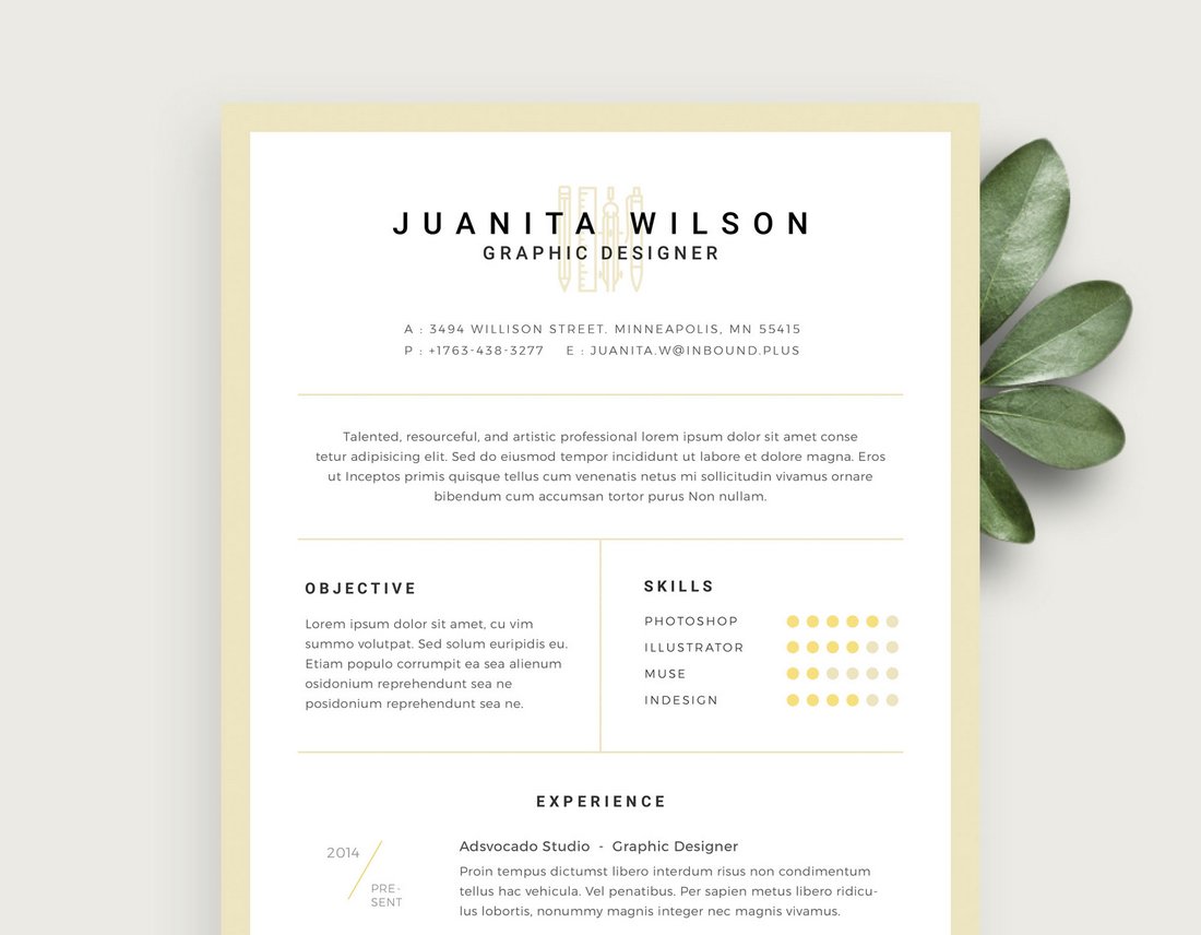 Free Clean Resume Template PSD