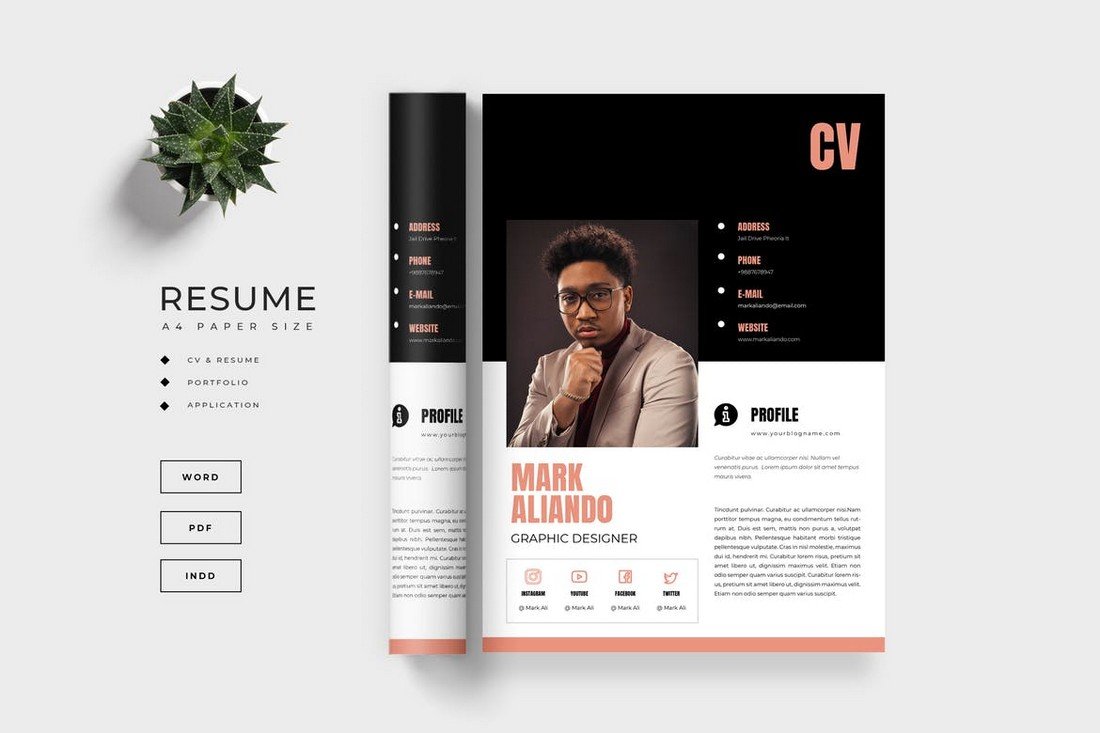 Modern Resume Template (Word & INDD)
