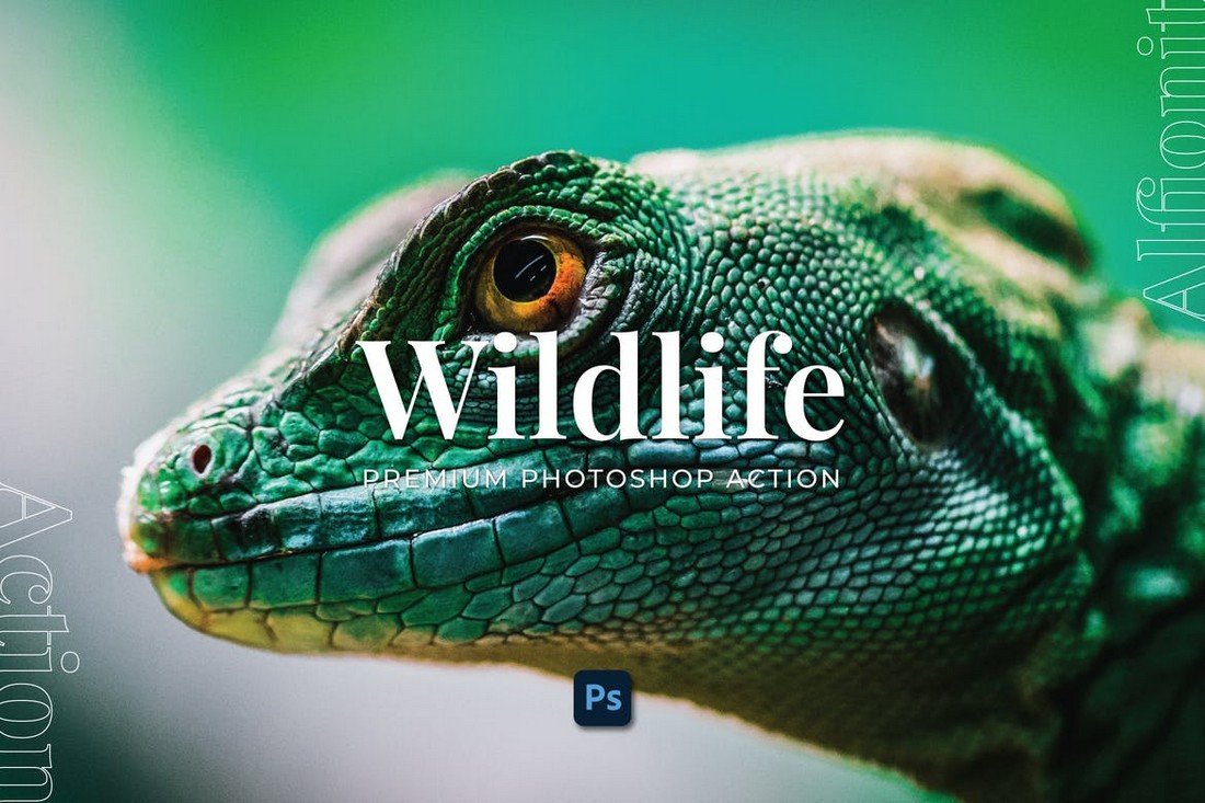 Wildlife Photography Photoshop Action