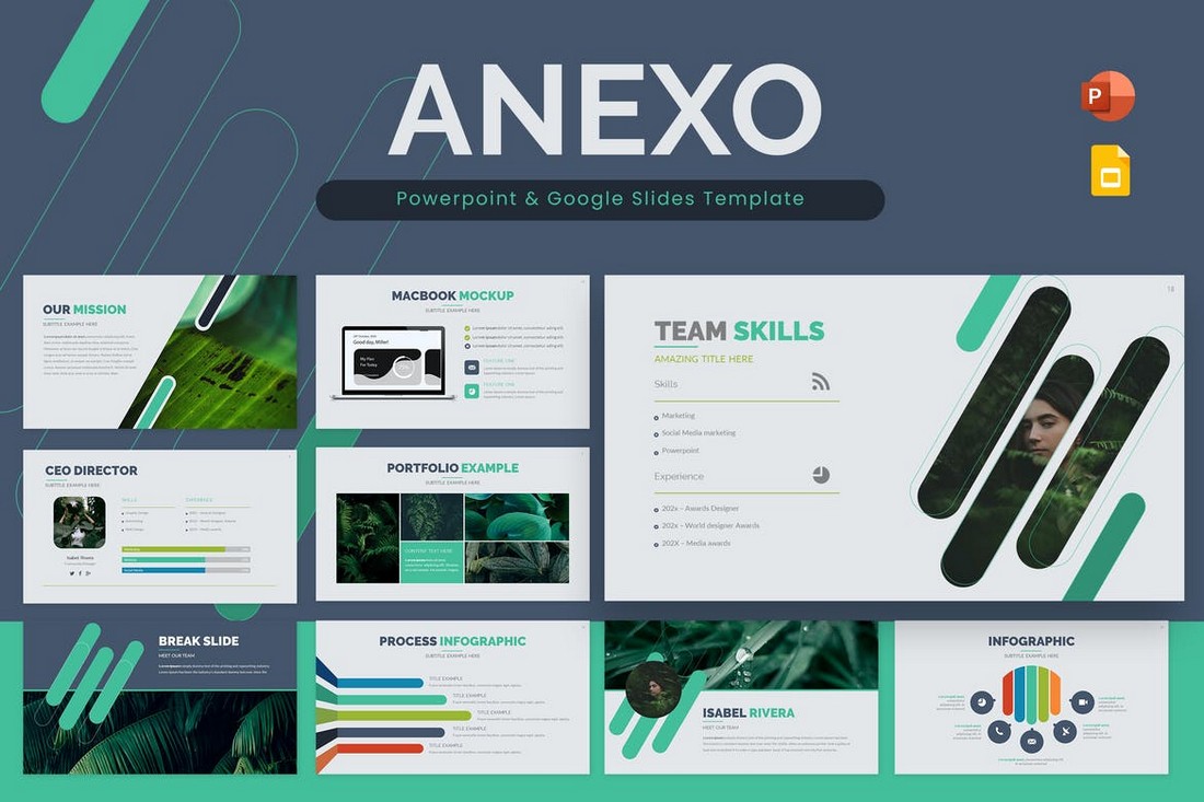 Anexo Powerpoint & Google Slides Template