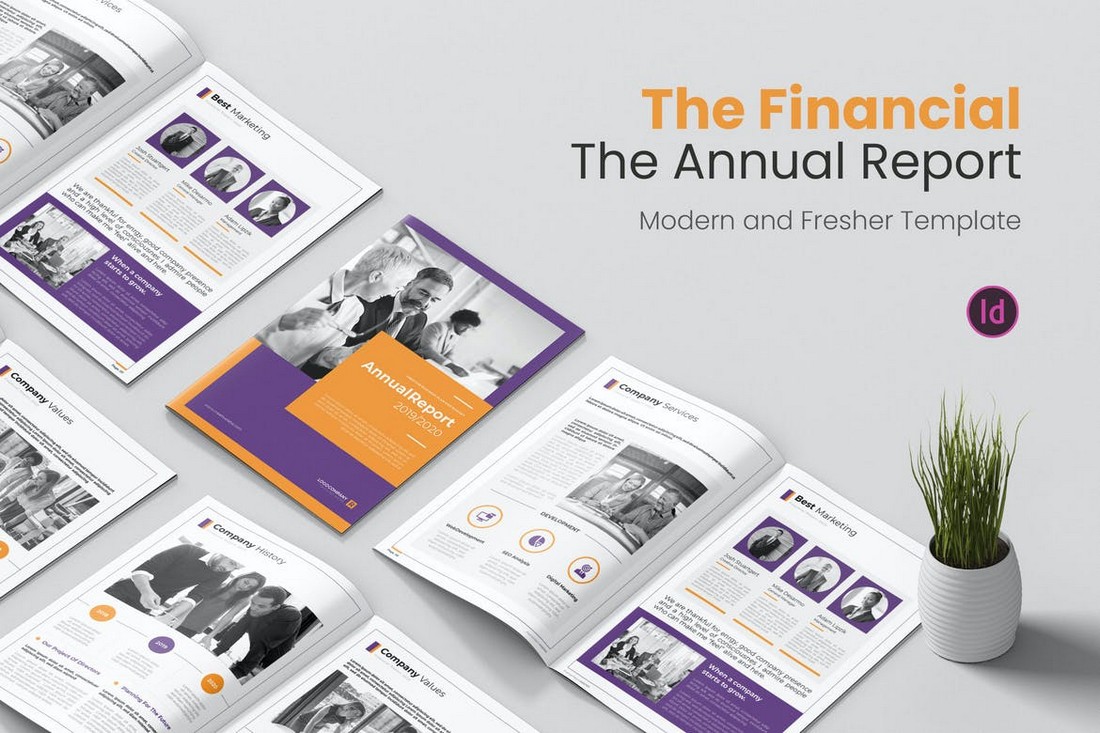 Annual Financial Report Template for InDesign