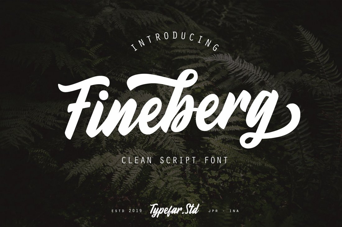 Fineberg - Clean Script Font