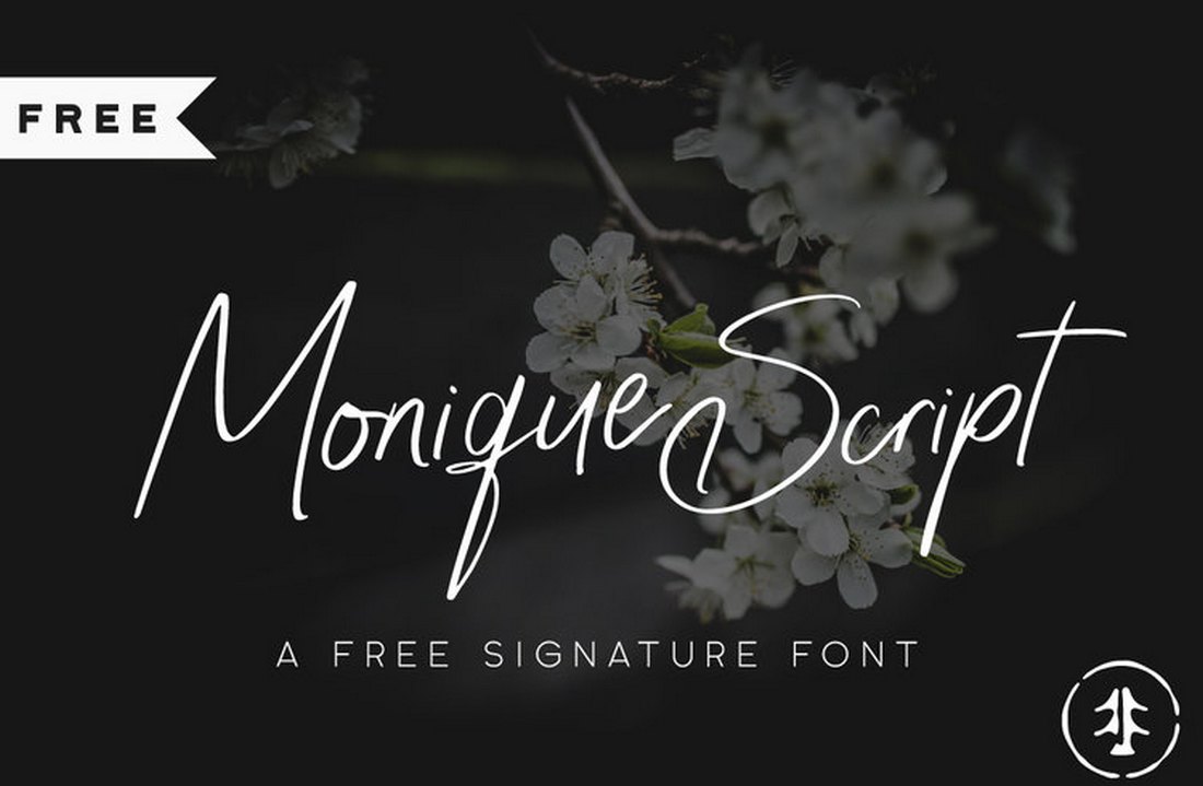 Monique Script - Free Signature Font