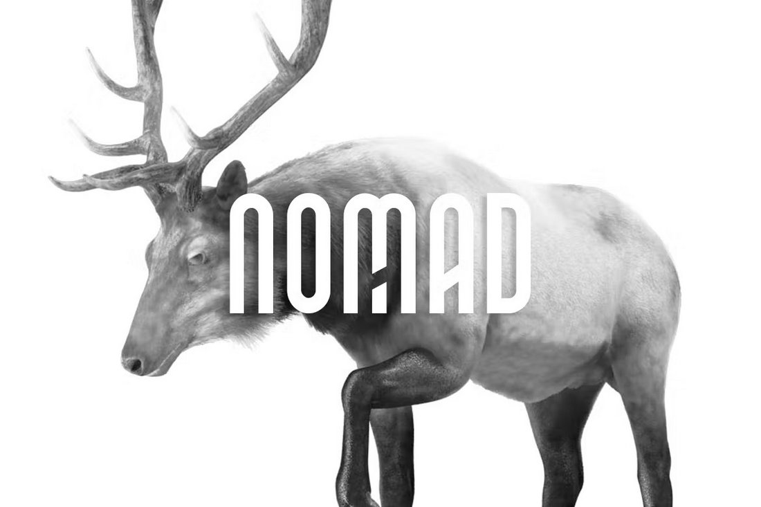 NOMAD - Elegant Logo Font