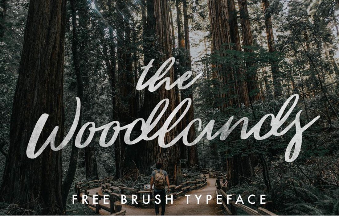 Woodlands - Free Brush Script Font