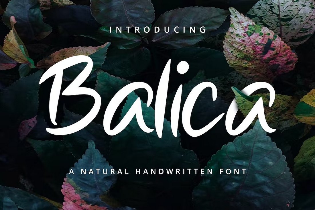 Balica - Modern Elegant Font for Procreate