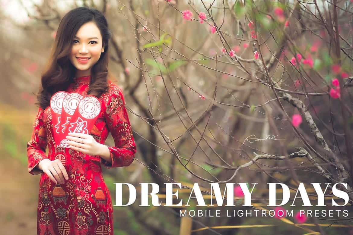 Dreamy Days - Portrait Lightroom Presets