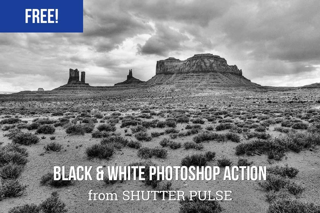 Free High Contrast Black & White Photoshop Action