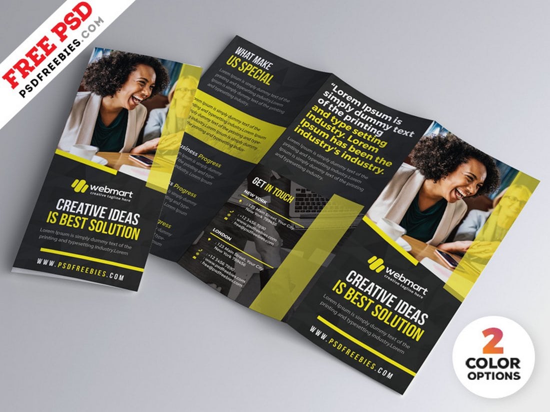 Free Tri-Fold Brochure Design PSD Set