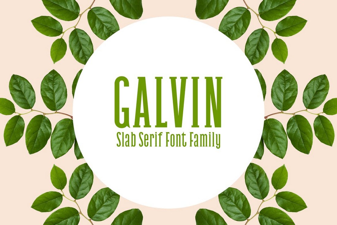 Galvin Slab - Serif Font Family