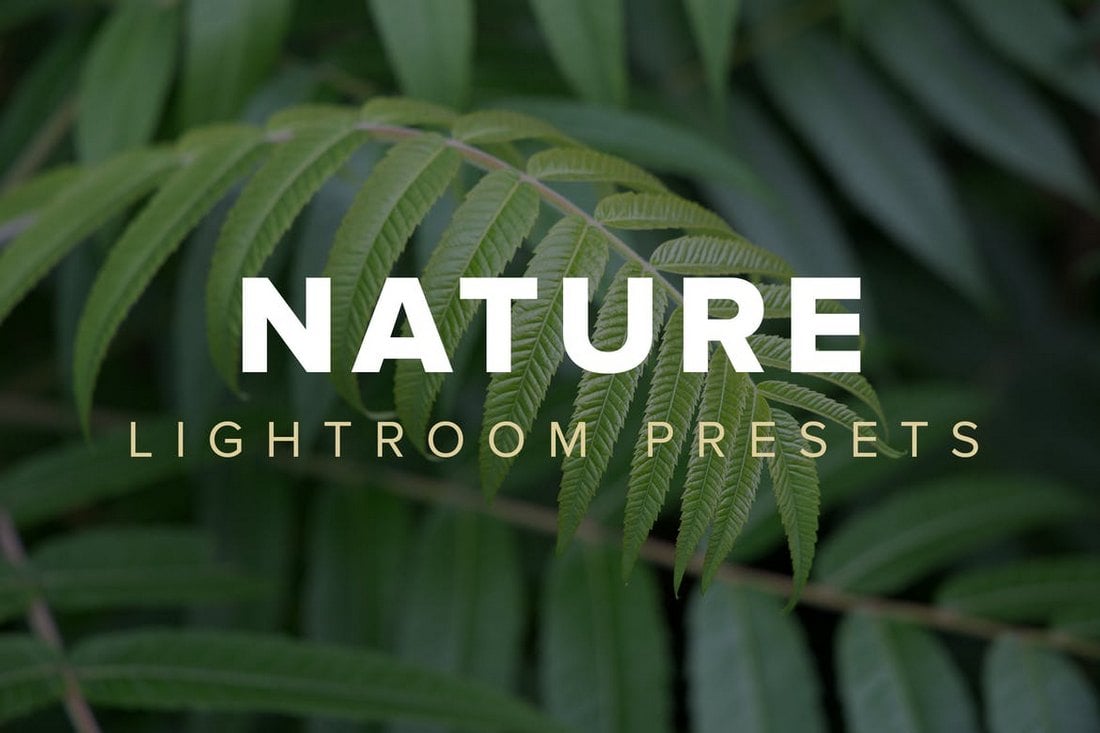 Nature VSCO Lightroom Presets