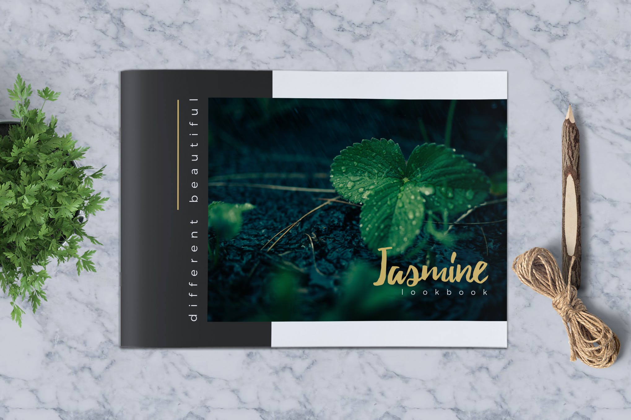 indesign template