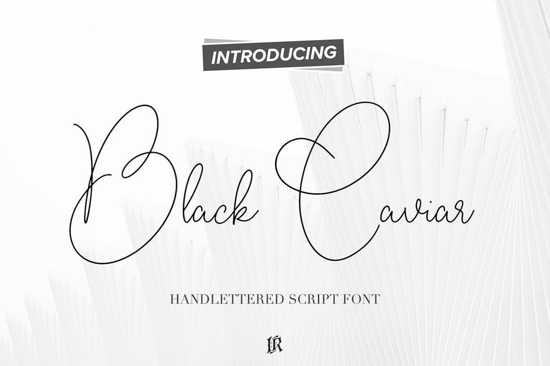 Black Caviar Script Font