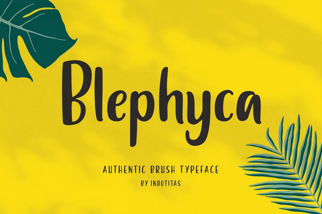Blephyca - Creative Brush Poster Font