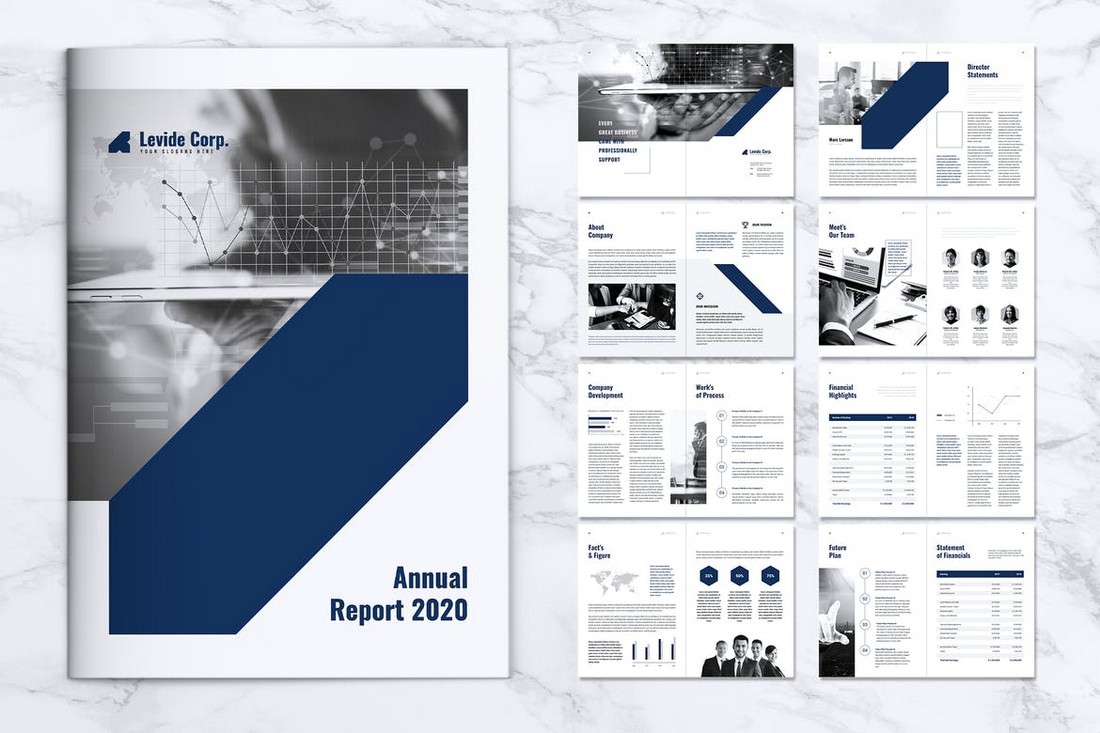 LEVIDE - Corporate Annual Report Template