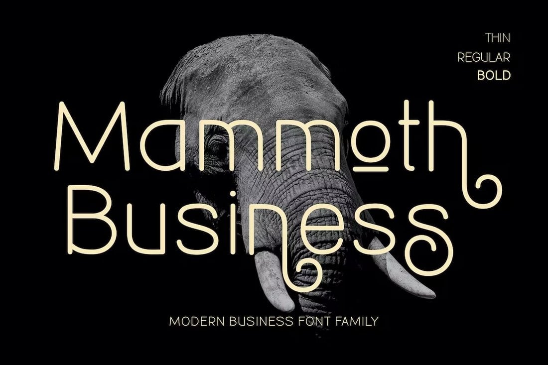 Mammoth - Business Font Family