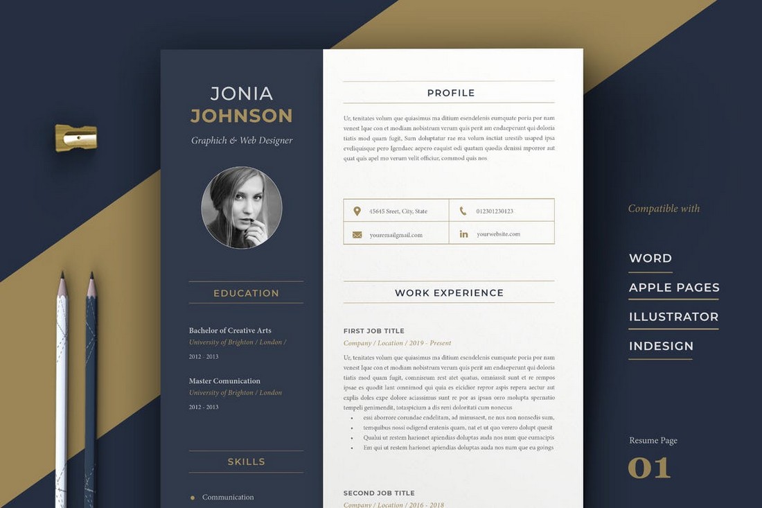 Professional Apple Pages Resume Template