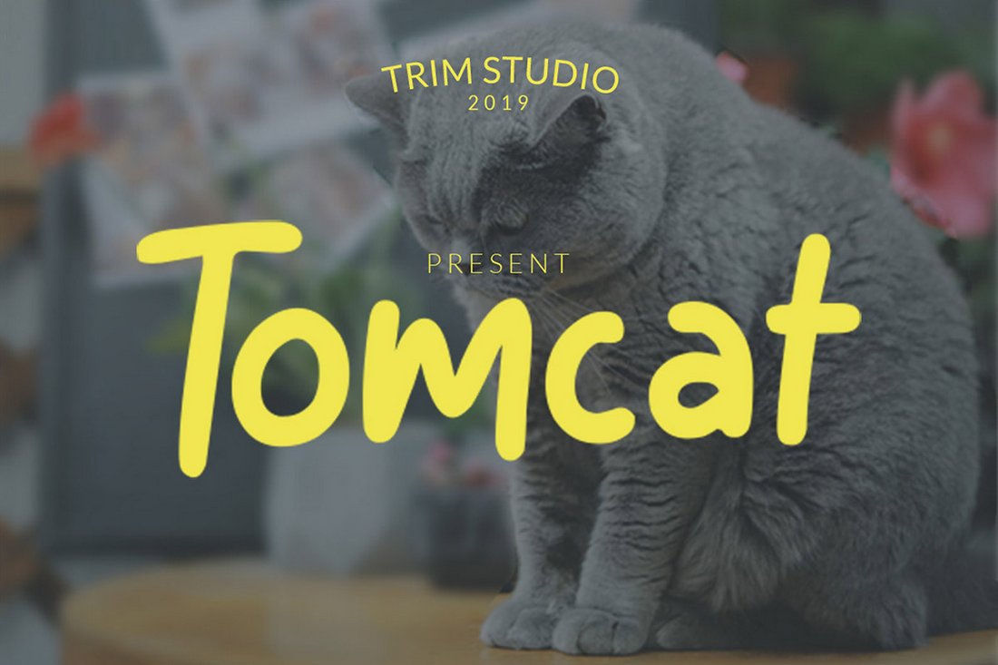 Tomcat - Free Display Font