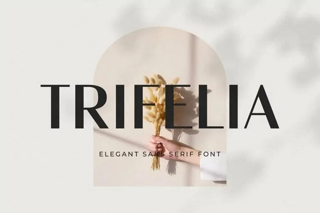 Trifelia - Free Business & Corporate Font