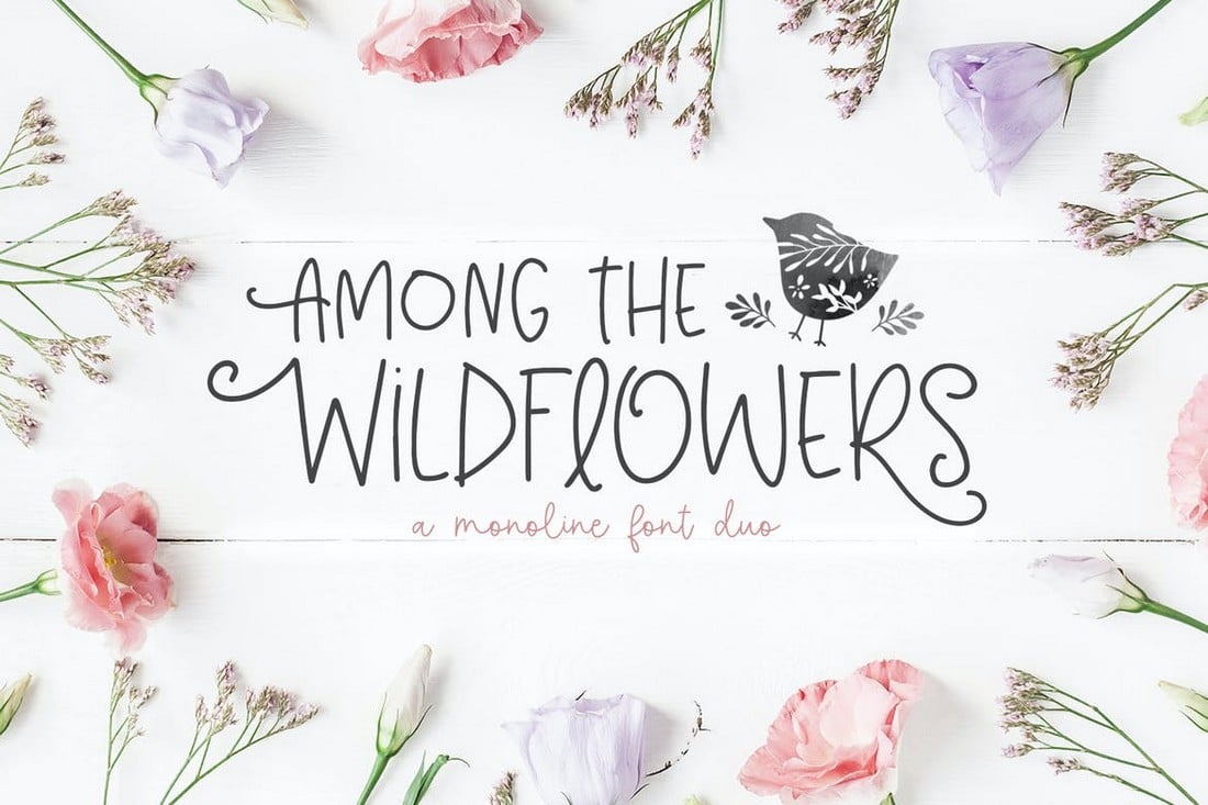 Among The Wildflowers - Skinny Font Duo