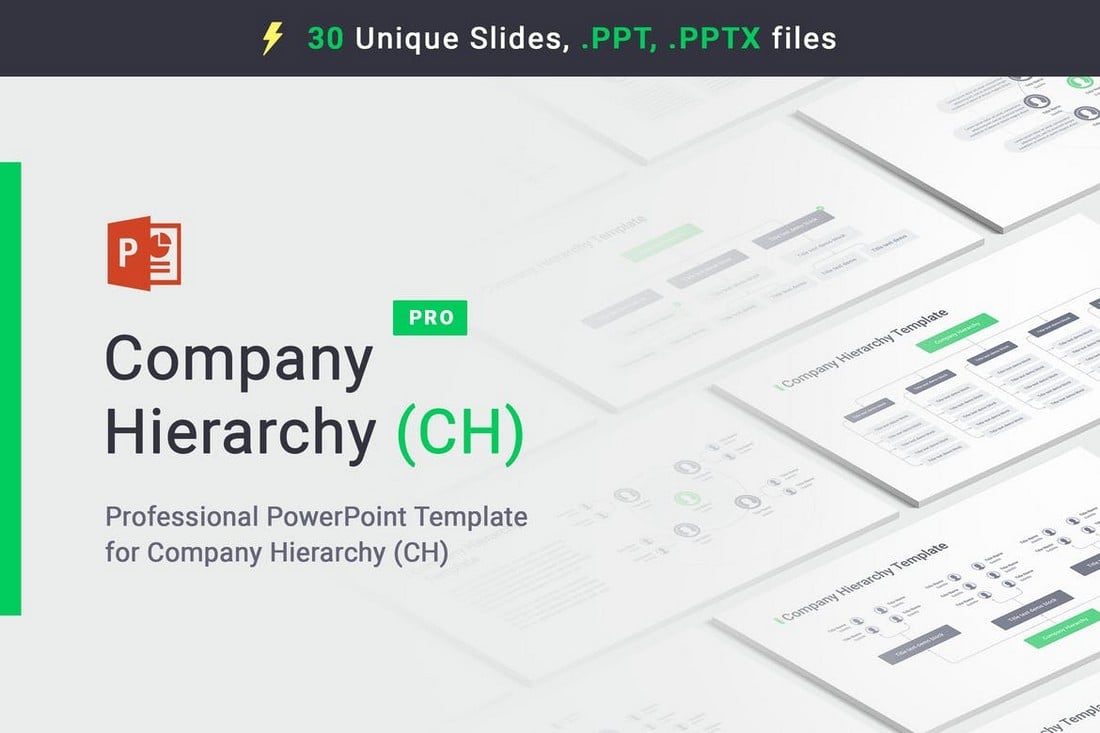 Company Hierarchy PowerPoint Template