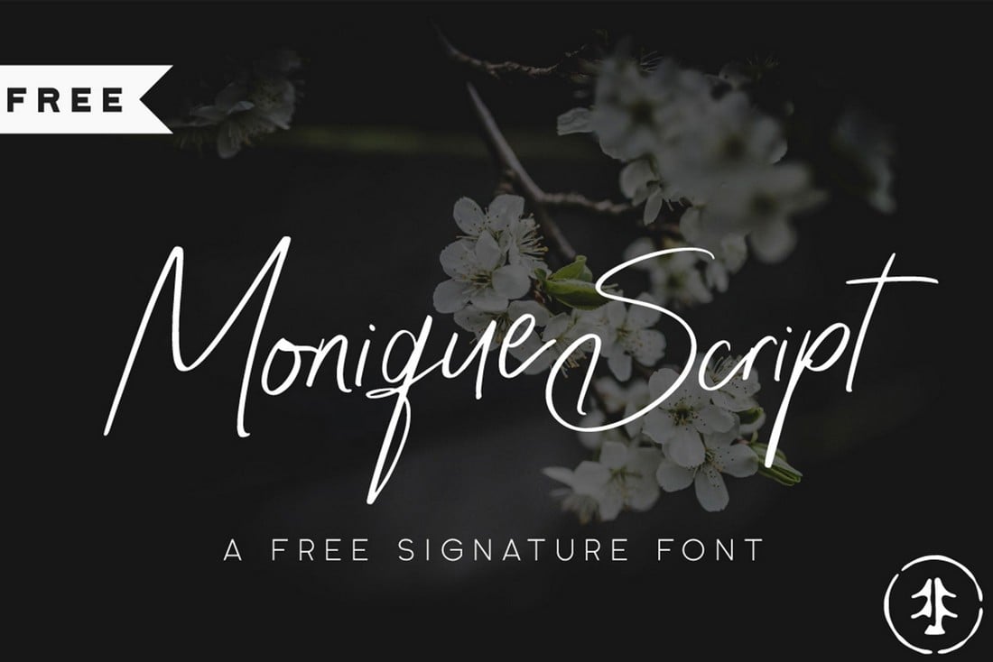 Monique Script - Free Thin Script Font