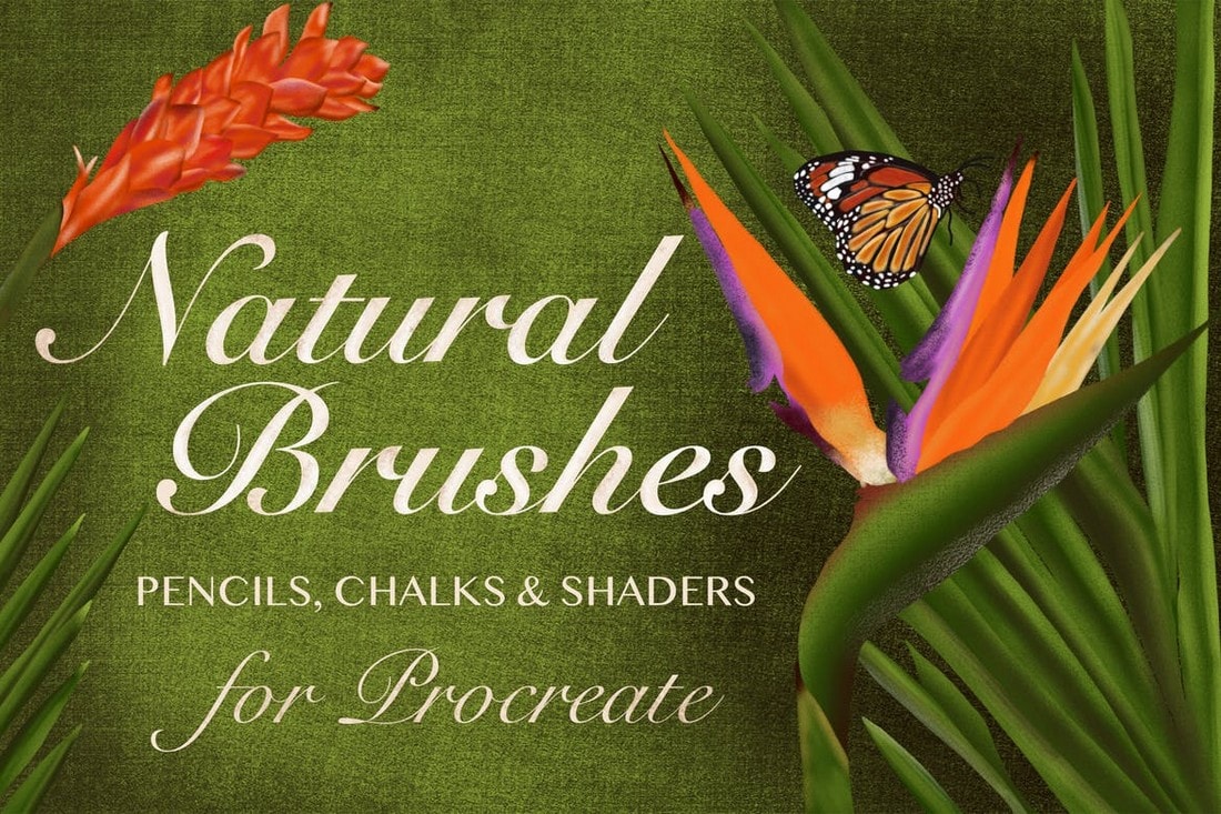 Natural Shader & Pencil Brushes for Procreate