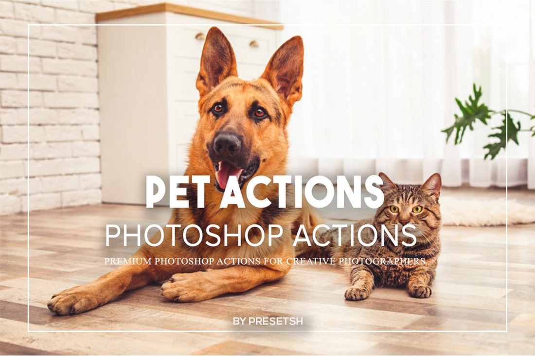 Pet Photos Photoshop Actions