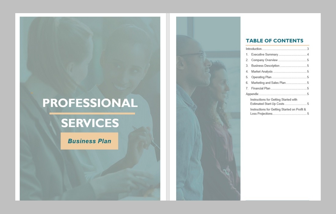 Professional Services Free Business Plan Word Template