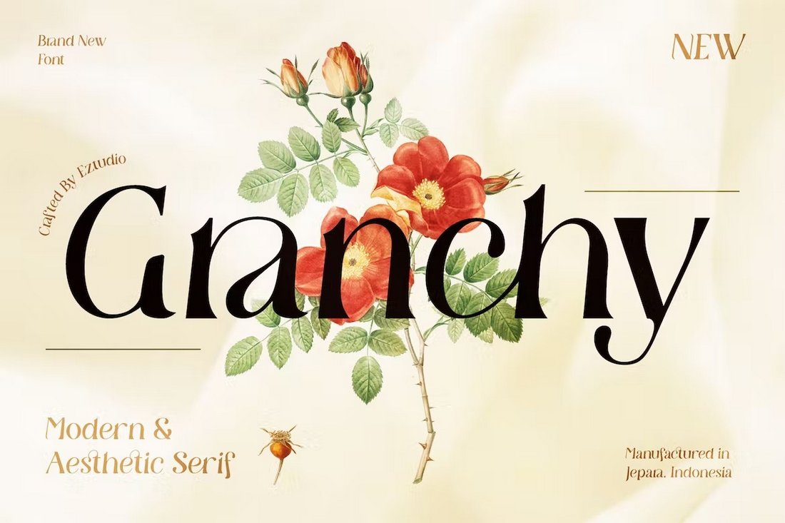 Granchy - Modern and Aesthetic Serif Font