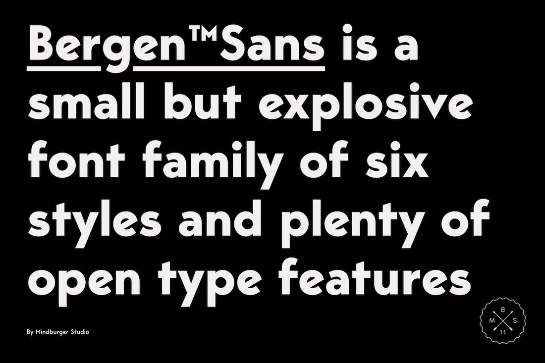 Bergen Sans - Professional Advertising Fonts Family