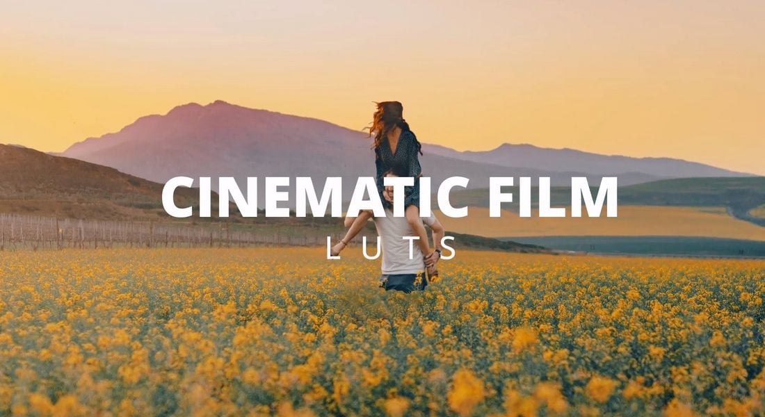 Cinematic Film LUTs for Videos