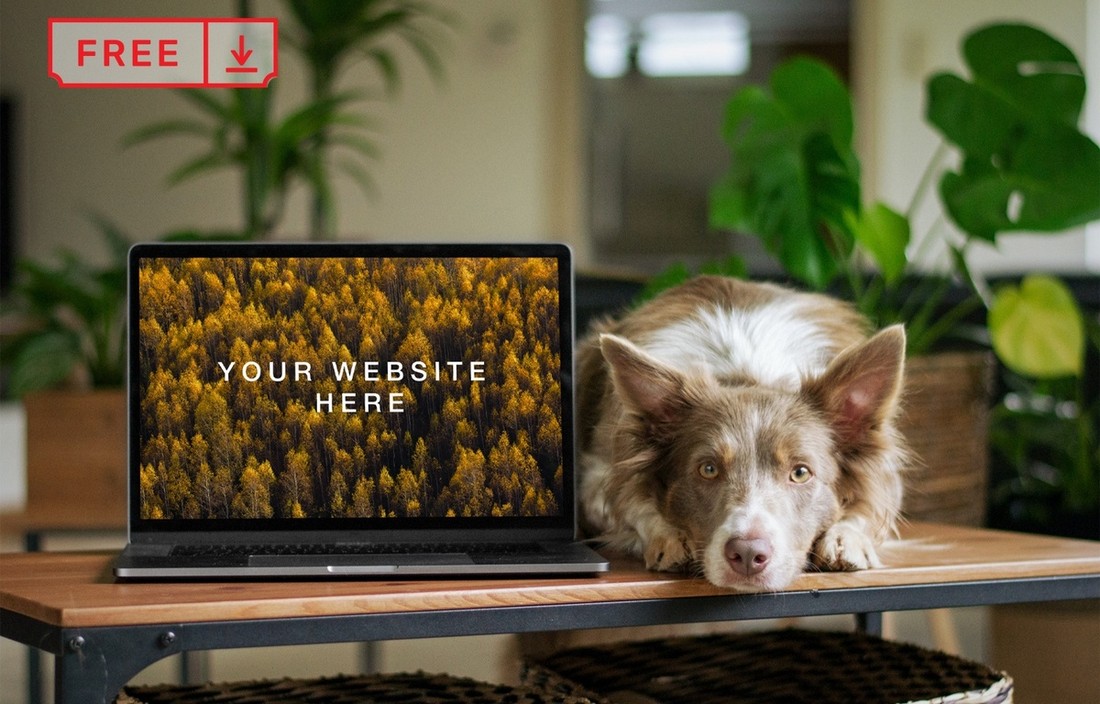 Free MacBook with Dog Website Mockup