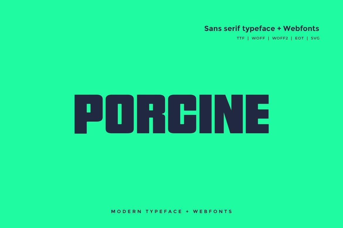 Porcine - Modern Block Font