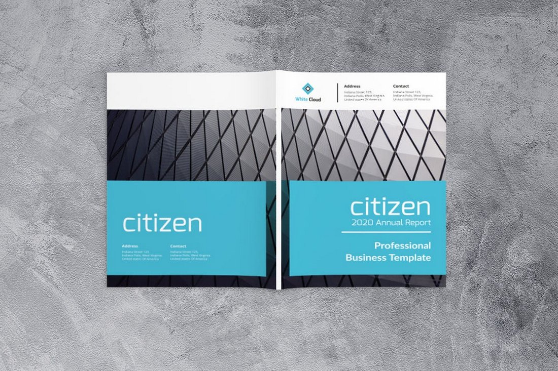 Citizen Annual Report Business Template