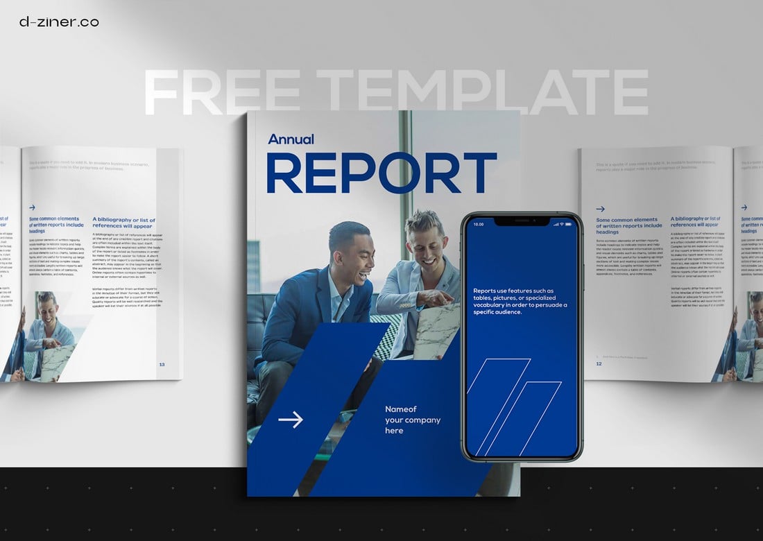 Free Financial Report InDesign Template