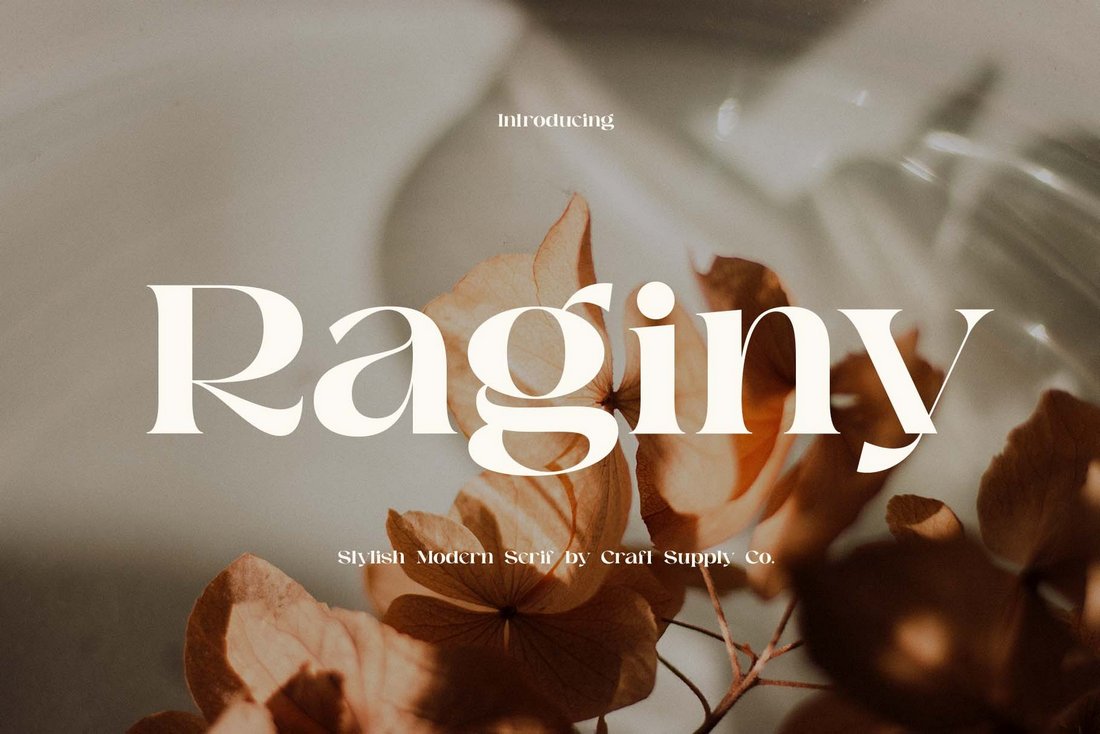Raginy - Free Stylish Serif Font