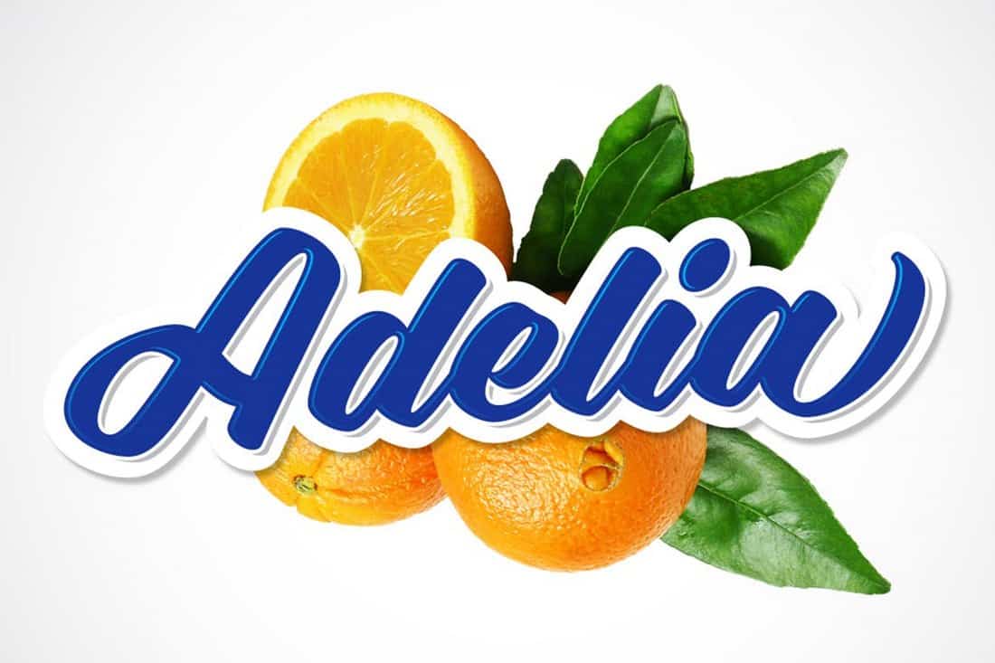 Adelia - Modern Logo & Signage Font