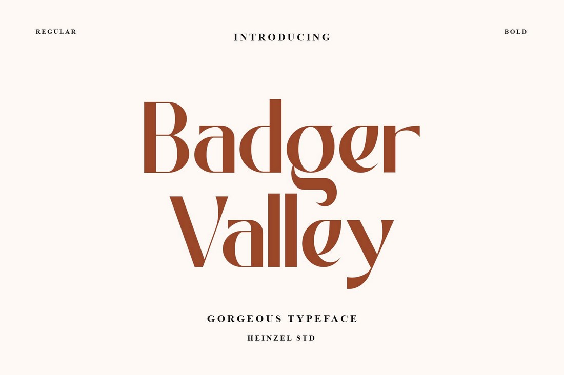 Badger Valley - Free Narrow Font