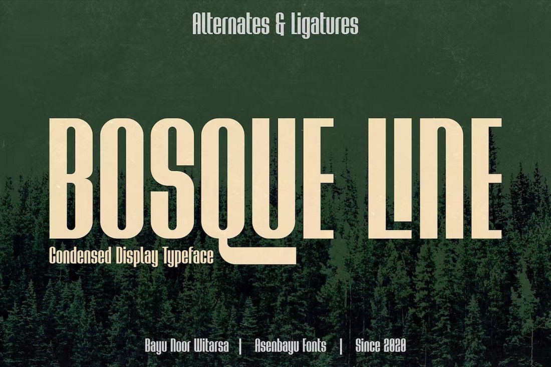 Bosque Line - Vintage Narrow Font