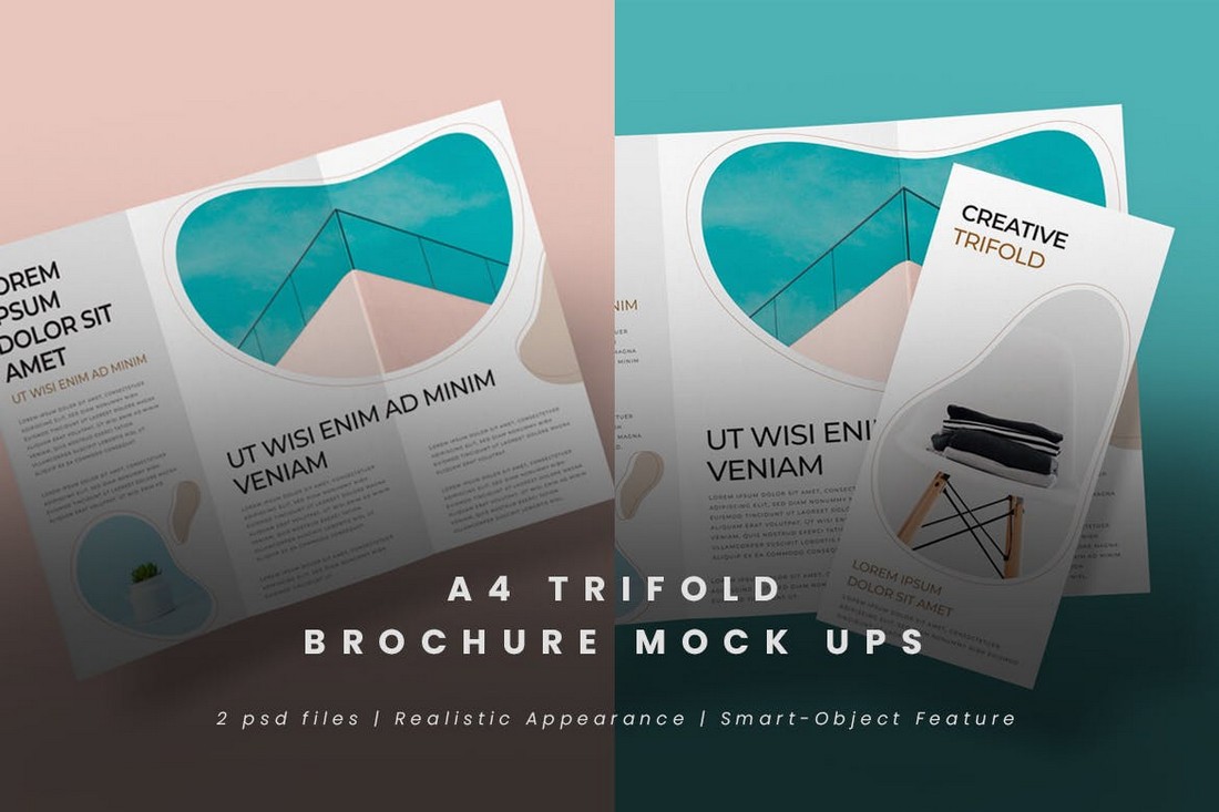 Modern Trifold Brochure Mockups