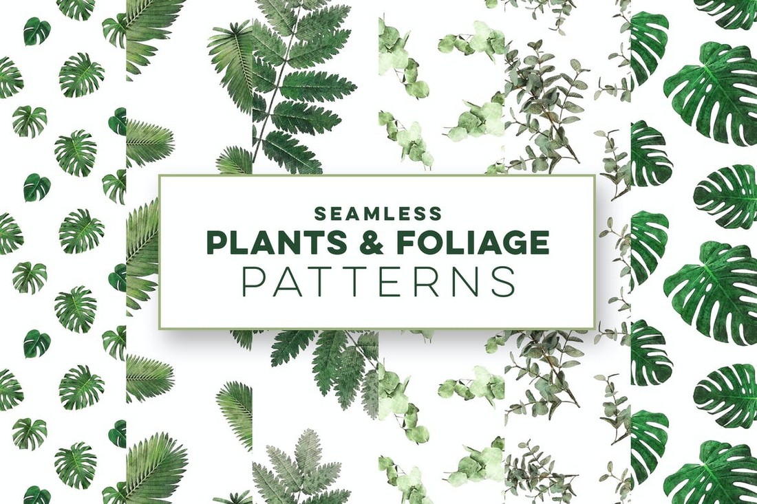 Plants & Foliage Seamless Patterns